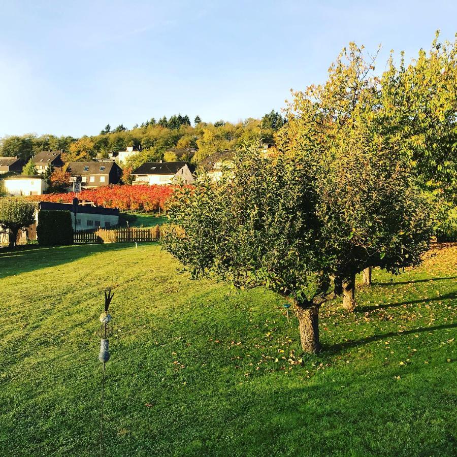 Kalverkamp Ferienwohnung Lieser Extérieur photo